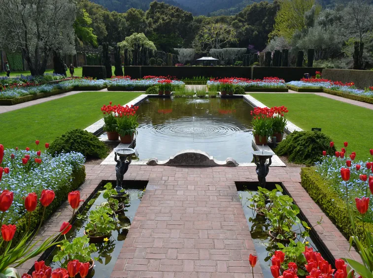 progettazione giardino