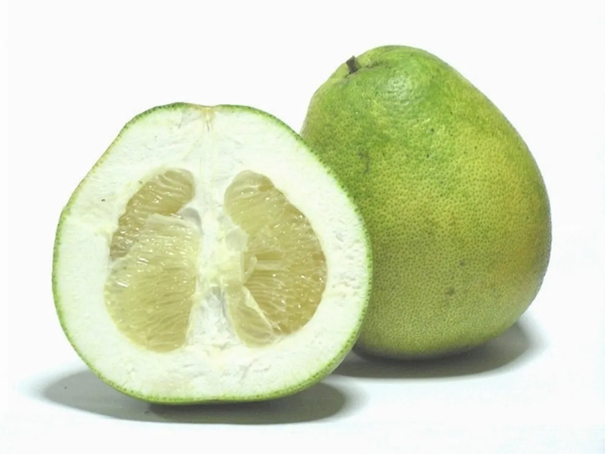 Frutto di Pummelo