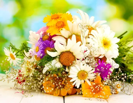 regalare fiori