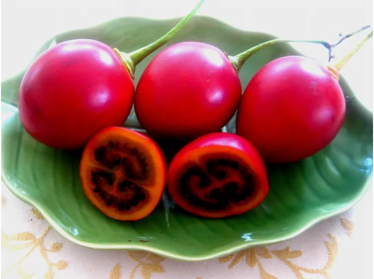 tamarillo
