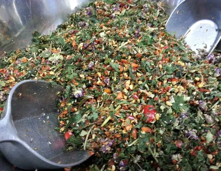 Tisane
