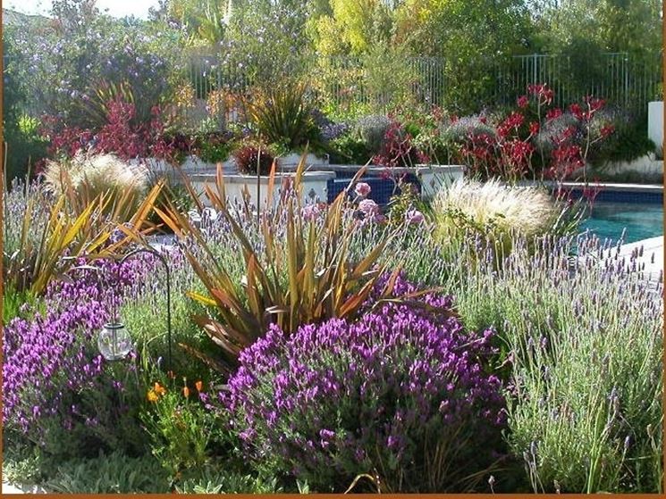 Essempio di giardino mediterraneo