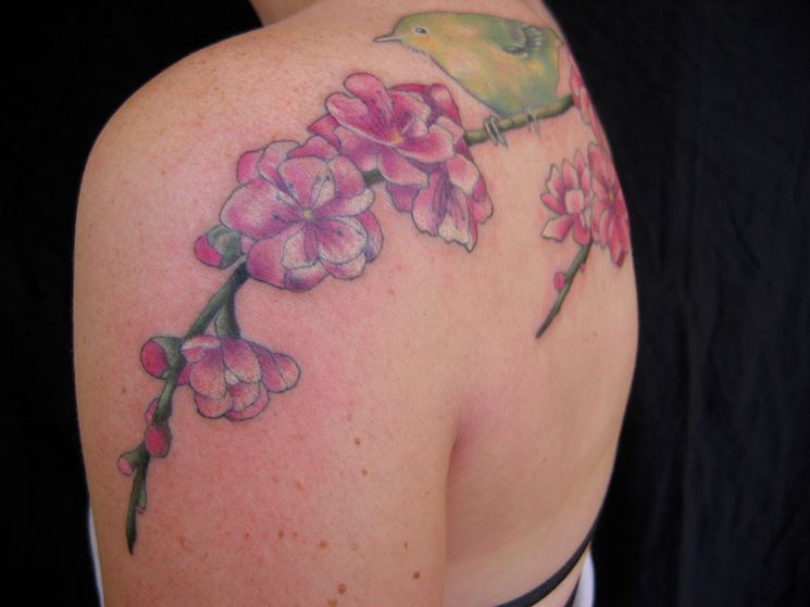 Tatuaggio fiori di pesco sulle spalle