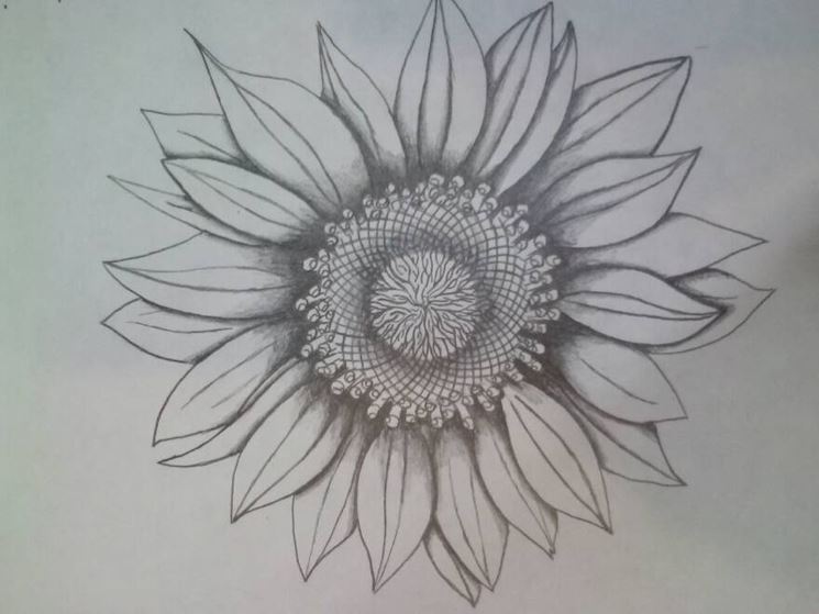 Girasole