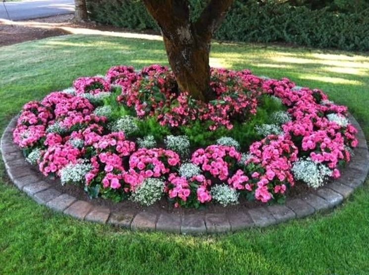 Come Fare Un Aiuola Piante Grasse Come Fare Un Aiuola Giardino