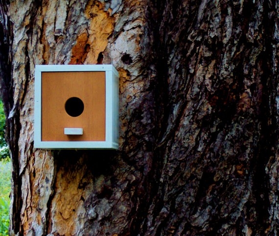 Casette Per Uccelli Casette Da Giardino Come Realizzare Casette Per Uccelli