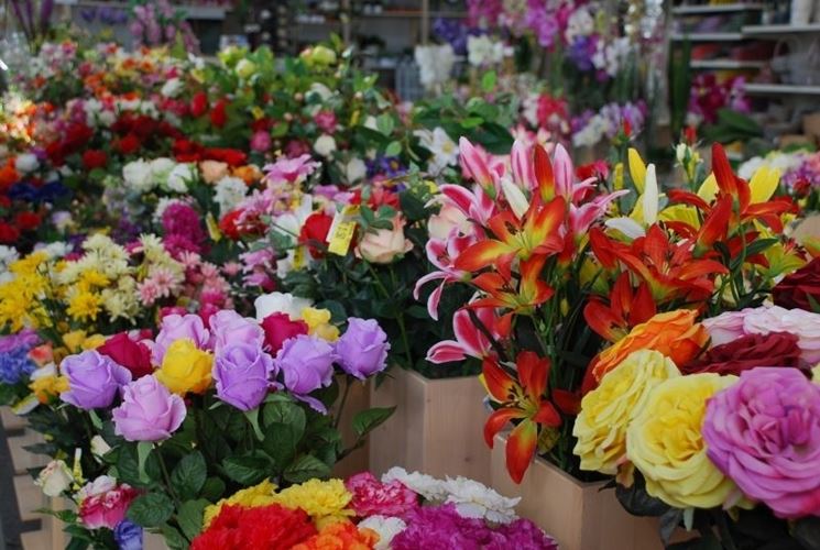 Fiori Secchi Ingrosso, Vendita Online